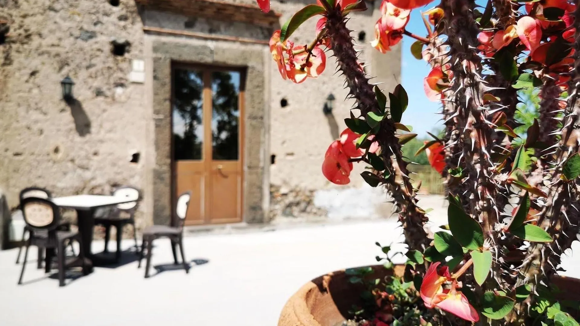 Le Grotte Bed & Breakfast Riposto